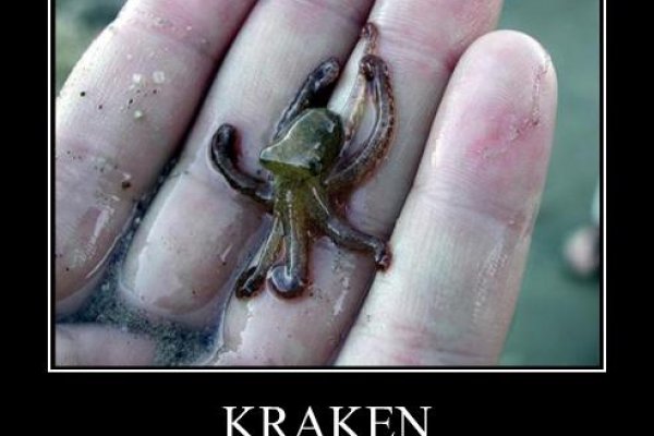 Кракен порошок