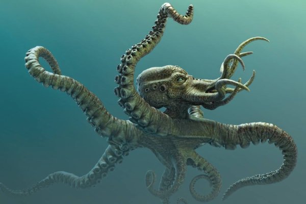 Kraken 18at зеркало