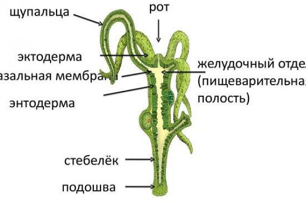 Сайт кракен зайти