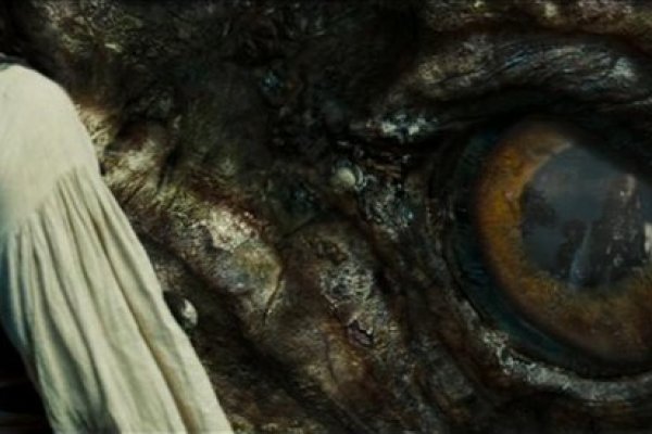 Kraken 17 at