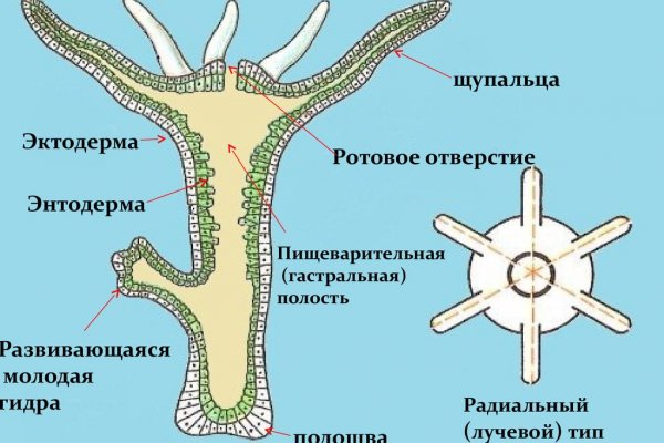 Кракен даркнет krawebes