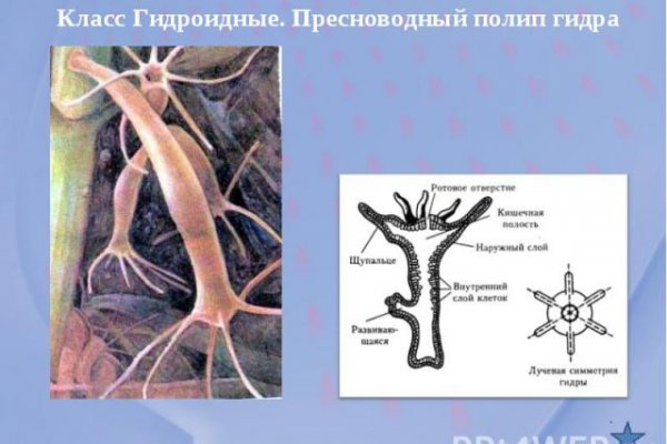 Ссылки даркнета