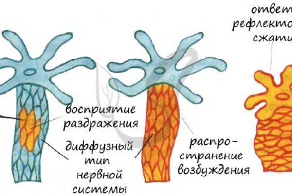 Kraken market ссылка